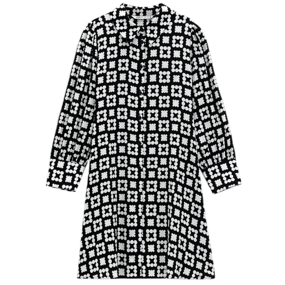 Zara Nadia Mini Shirt Dress